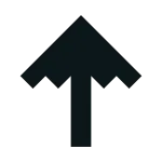 Protect SVG Icon